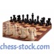 Доска шахматная картонная DGT (48х48)