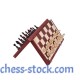 Шахматный набор магнитный (большой) (Мадон 140А)