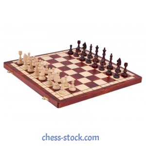 Великі магнітні шахи (Мадон 140А)
