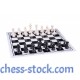 Шахові фігури Стаунтон №6 (пластик)