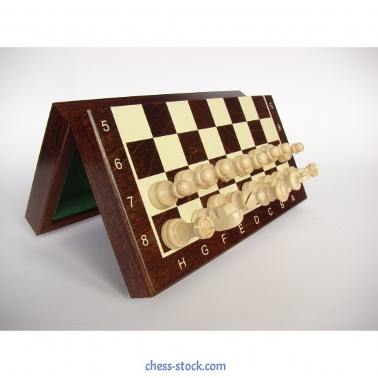 Шахматный набор магнитный (малый), 20см х 20см, (Мадон 140М)