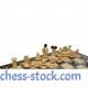 Набор шахмат "Польские короли", 36см х 36см, (Мадон 138)