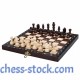 Набор шахмат Школьные, 27см х 27см, (Мадон 154)