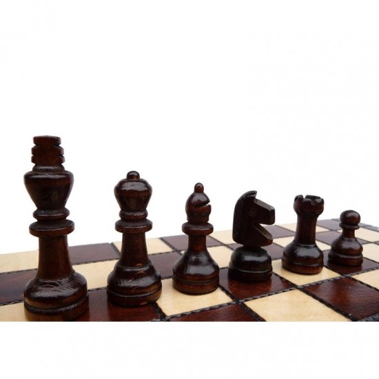 Набір шахів Шкільні, 27см х 27см, (Мадон 154)