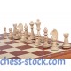 Турнірні шахи №6 Wegiel, 54см х 54см