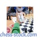 Дитячі шахові карти " Щасливі карти" (EDAMI)