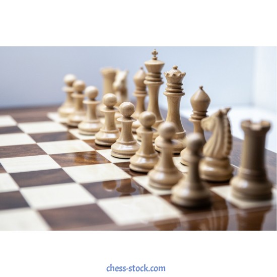 Шахові фігури Олександр №6 (+два додаткові ферзі)