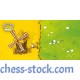 Настольная игра Kingdomino. Доминошное королевство (FeelIndigo)