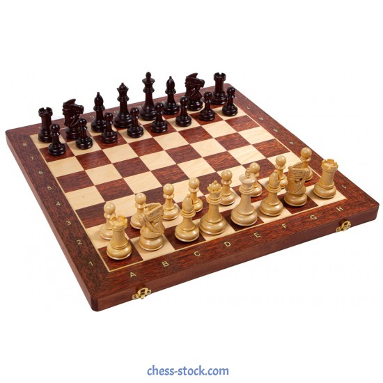 Набор шахмат "Королевский конь", 53 х 53 см