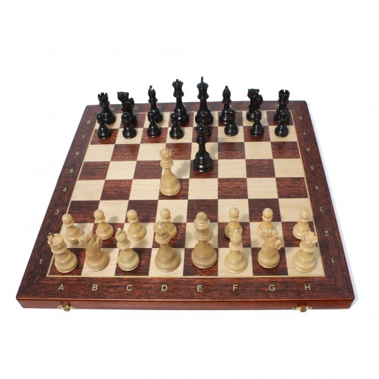 Набор шахмат "Конь-виртуоз", 53 х 53 см