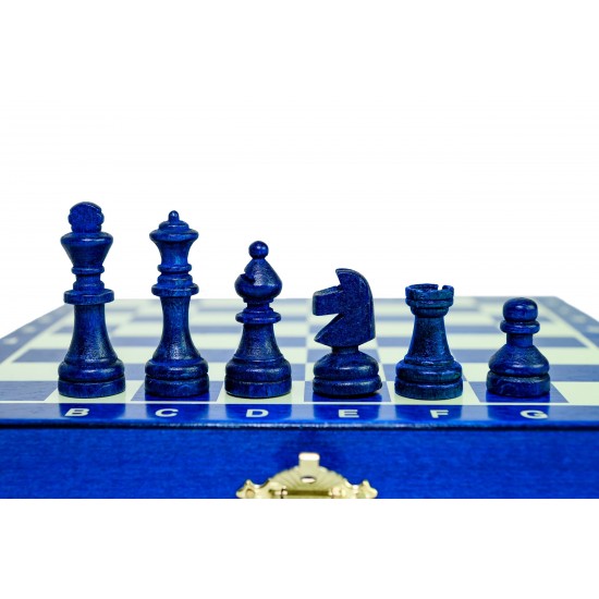Набір шахів Шкільні (сині), 20см х 20см (Мадон 154М)