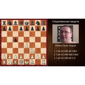Андрій Пунін. Анти-Сициліанський захист (за білих). Повний репертуар